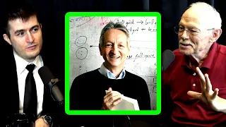 Geoffrey Hinton is a genius | Jay McClelland and Lex Fridman