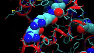 An Introduction to Molecular Dynamics