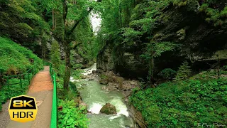 Breitachklamm Germany 8K 🇩🇪