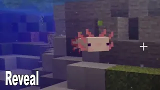 Minecraft - Axolotls Mob Reveal Minecraft Live 2020 [HD 1080P]