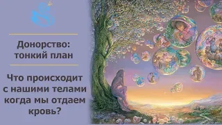 119. КРОВЬ САКРАЛЬНА! КАК ДОНОРСТВО ЗАБИРАЕТ СИЛУ РОДА. Регрессивный гипноз