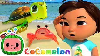 Can You Find The Sea Animals? | Beach Play | Summer Time Cocomelon | Nursery Rhymes & Kids Songs