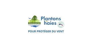 Plantons des haies pour protéger du vent