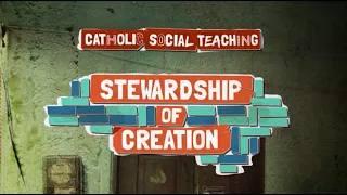 Catholic Social Teaching - Stewardship of creation