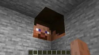 71 Confusing Minecraft Things to Give You Anxiety