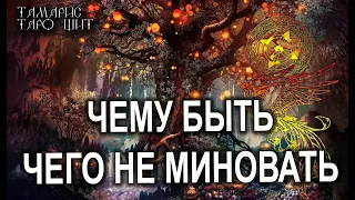 ЧЕМУ БЫТЬ ЧЕГО НЕ МИНОВАТЬ.....🌔🔥💯 ГАДАНИЕ РАСКЛАД ТАРО