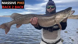 Locating and Catching GIANT Northern Pike Spinney Mountain Reservoir Colorado