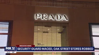 Chicago security guard maced as high-end Gold Coast stores robbed