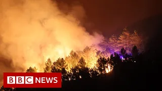 Spain wildfires force thousands out of their homes – BBC News