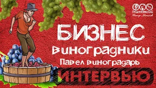 Виноградники - столовый виноград на 27 гектарах. Виноградарь Павел.