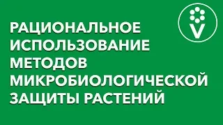 БЕСПЛАТНАЯ запись семинара Ивана Русских