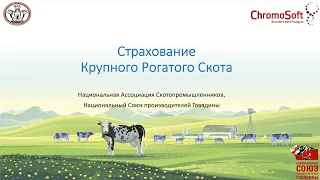 Спец. проект: Страхование крупного рогатого скота