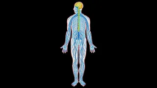 Stimulate Autonomic Nervous System : 357.30 hz Alpha : Isochronic tone