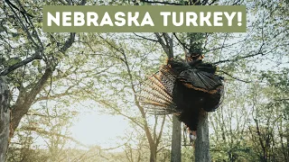 3 GOBBLERS in 12 HOURS! Nebraska Turkey Hunting!