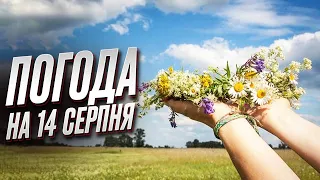 🌞 Літо згадало, що воно літо! Погода буде спекотною