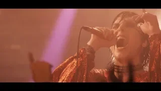 The Struts - “Rebel Rebel” (David Bowie cover - Live in Paris with Yarol)