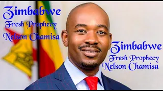 Nelson Chamisa | Zimbabwe Prophecy