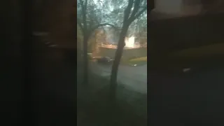 На Коломяжском проспекте дерево упало во время дождя на машину