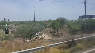 La CONCHA SINALOA MÉXICO