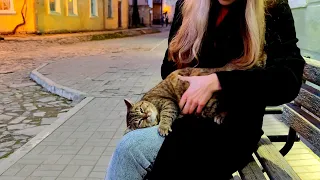 😺 Cute cats living on the street. These cats are so beautiful 😍