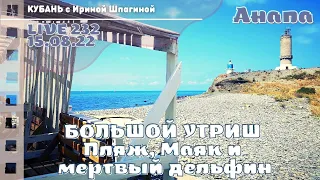 #АНАПА Большой Утриш. Пляж, Маяк и мертвый дельфин 🐬 LIVE 232