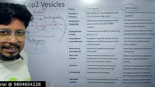 Cop 1 and Cop 2 vesicle transport protein trafficking