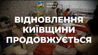Пошкодження та відбудови в місті Васильків