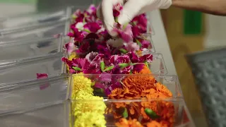 Gourmet Herbs - Edible Flowers