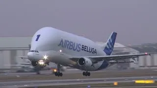 Super Transporter Airbus A300 Beluga Landing / Take off at Airbus Plant Hamburg