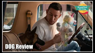 Dog movie review -- Breakfast All Day