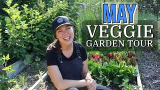 May 2024 Vegetable Garden Tour