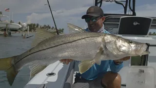 The Smartest Snook