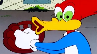 Woody Woodpecker Show | Cheap Seats Woody | Full Episode | Cartoons For Children