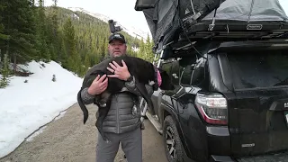 How to put a dog in a roof top tent,  and how to take them back out
