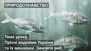 Природознавство - Тема уроку: Прісні водойми України та їх мешканці. Зимівля риб