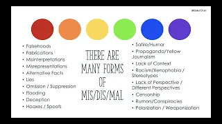 The Colors of Disinformation: Information Disorder and the Literacy Landscape