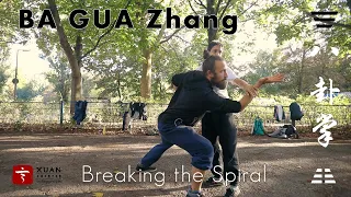 Ba Gua Zhang Application: Breaking the Spiral (Spiral Drill Step 4)