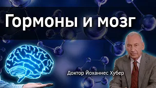 Гормоны и мозг. Доктор Йоханнес Хубер. Верба Майер.