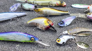 Where Do Bass Go In Fall? (And Easy Ways To Catch Them)