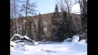 Снег, снег... Александр Городницкий. Автор видео Юрий Баженов.