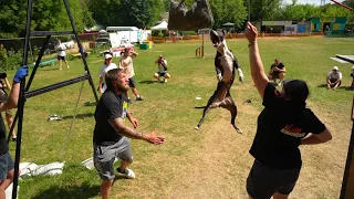 APBT Jess. Dog show Jump'n'Gym 2023