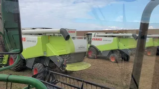 CLAAS LEXION 560 & 480 combine