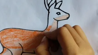 Colouring the Deer 🦌/Drawing and painting 🎨/Preschool Activities for Kids/ Fun Learning/Toddlers fun