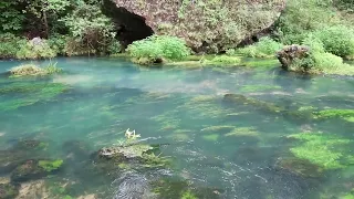 Ambient Sound - fresh water spring - current river missouri - asmr