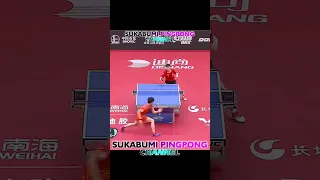 Topspin Attacks Forehand Table Tennis #shorts