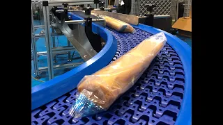 Modular Belt Conveyor System Handling Wraps and Pastry Production Line UK