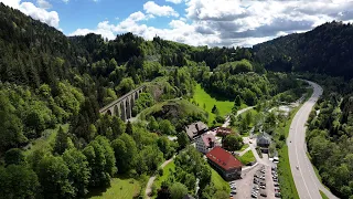 At Home in the Black Forest