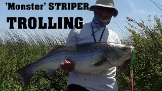 'MONSTER'     DELTA STRIPER ... TROLLING