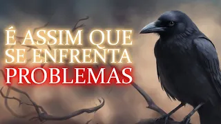 Quando estiver passando por dificuldades, permita-se ouvir esta história | O Corvo e o Jarro