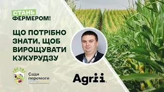 Що потрібно знати, щоб вирощувати кукурудзу | Стань фермером